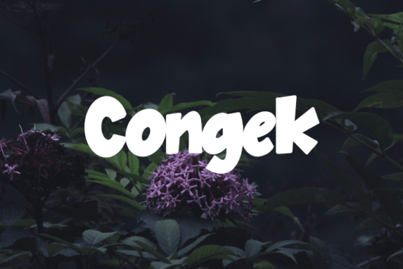 Congek: A Practical Typography Asset for Apparel and Product Design