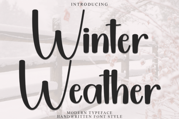Embracing the Season: How Winter Weather Typography Elevates Holiday Branding